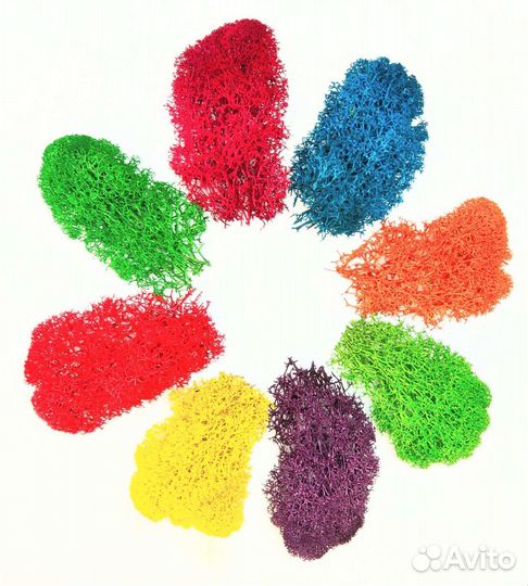 Кашпо со стабилизированным мхом