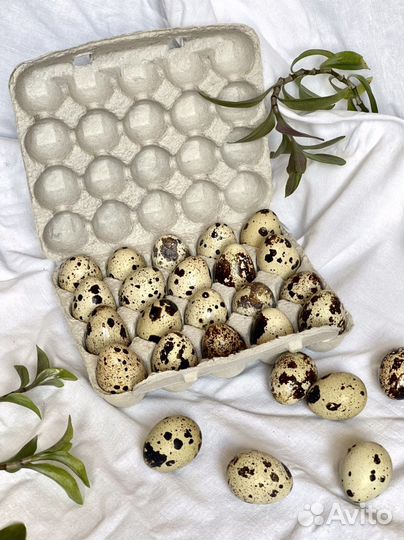 Яйца перепелиные домашние