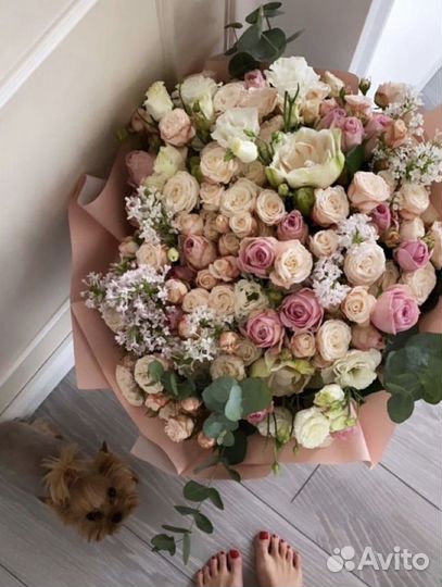 101 Роза букеты Цветы 51 доставка 24/7