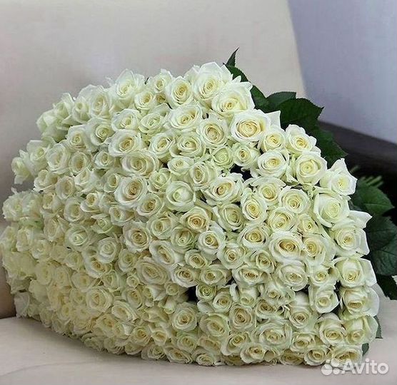 Высокие розы Гигантские розы Доставка цветов