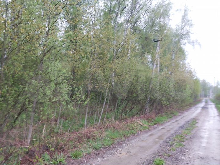 Участок 24 сот. (СНТ, ДНП)