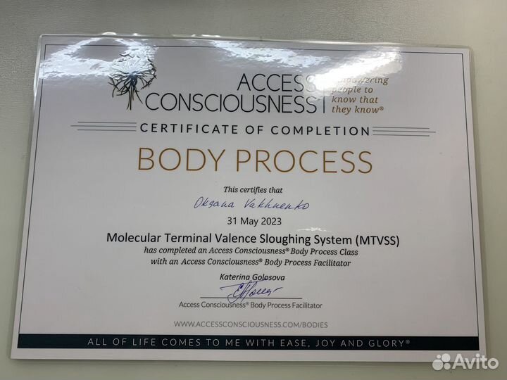 Сессии Access Bars (Аксесс барс) и Mtvss