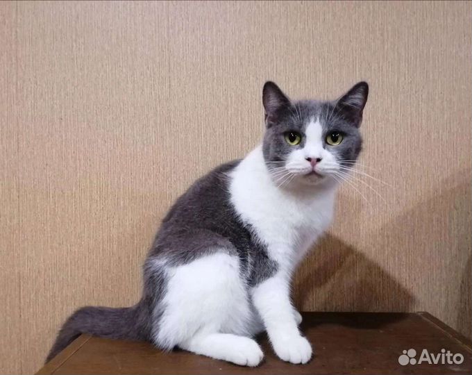 Малышка девочка Даша