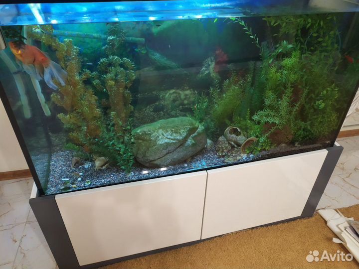 Аквариум 400л