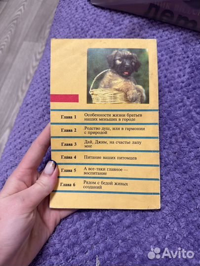 Ваш четвероногий друг