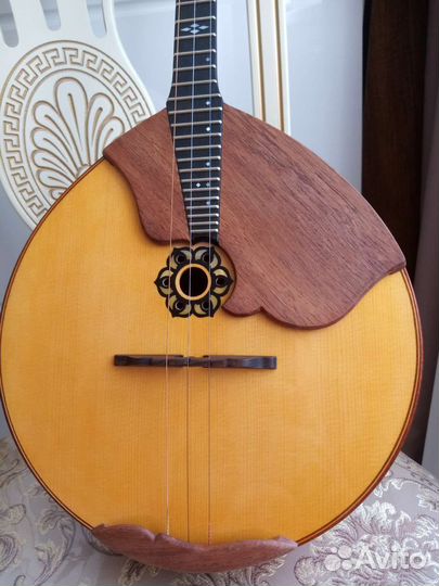 Домра Концертная вуз и дши