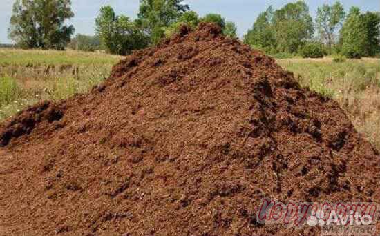 Перегной,навоз
