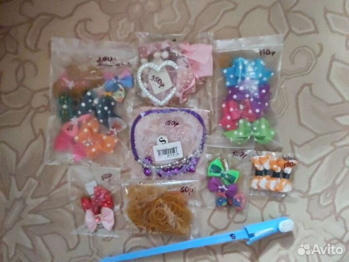 Одежда для собак. Плавки. Ошейник