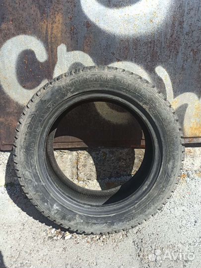 Amtel NordMaster ST 195/55 R15