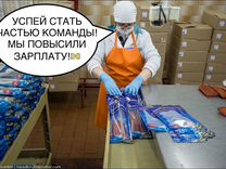 Пакетировщик готового продукта