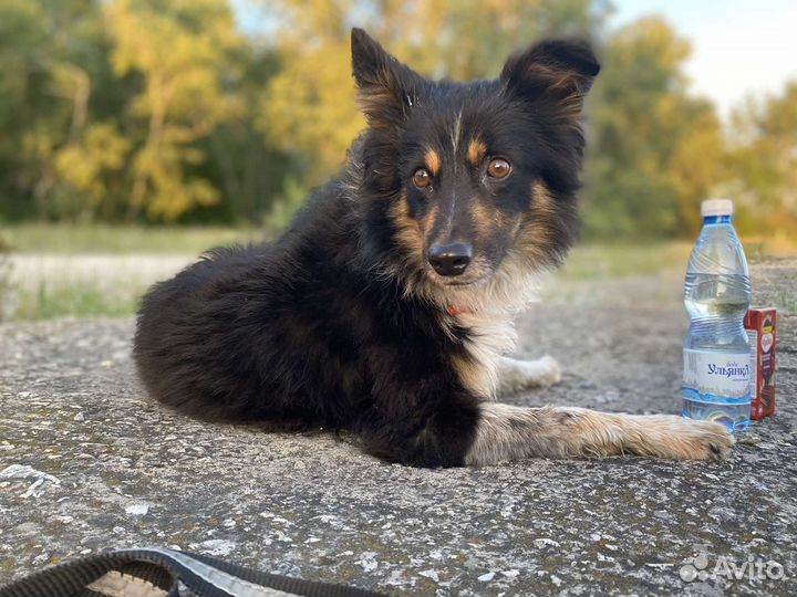 В очень ответственные руки