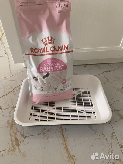 Корм для котят royal canin