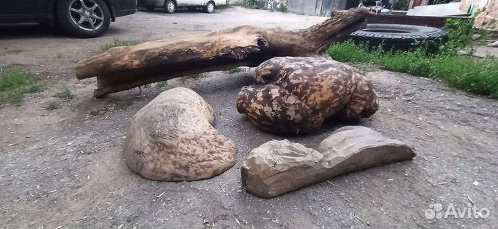 Арт объект из ствола сухого дерева