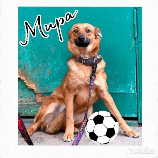 Мне очень нужен дом