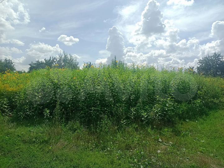 Участок 5,3 сот. (СНТ, ДНП)