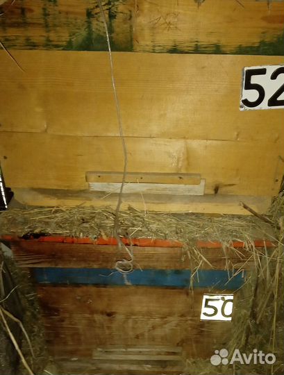 Продам ульи