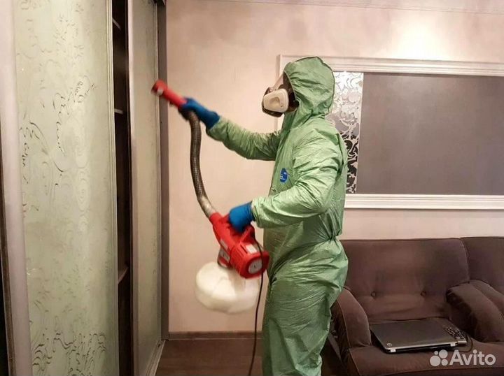 Уничтожение клопов тараканов муравьёв блох