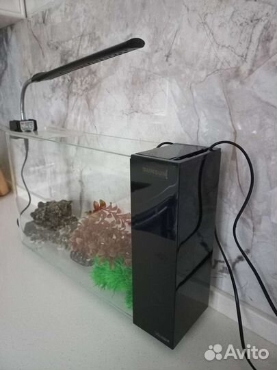Аквариум