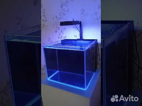 Морской аквариум 50л с задним сампом новый объявление продам