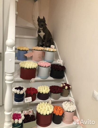 Шляпные коробки остатки под цветы/подарки