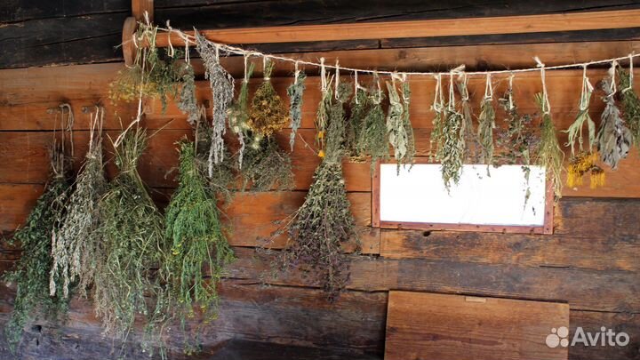 Сбор от глистов