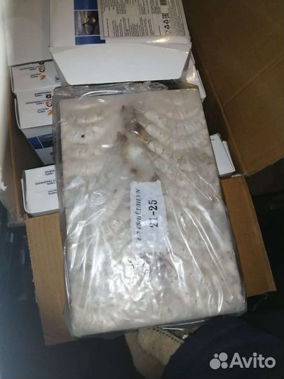 Тигровые креветки