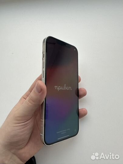 iPhone 12 Pro Max, 256 ГБ