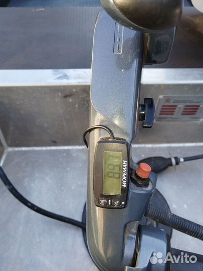 Моторная лодка Триера