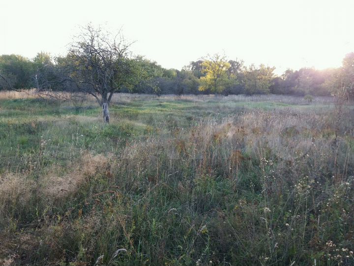 Участок 15 сот. (ИЖС)