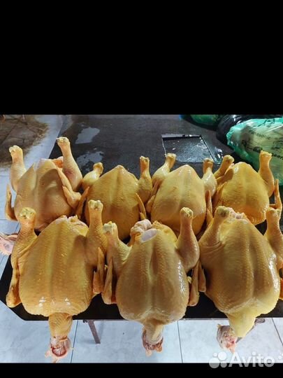 Куры бройлеры чищенные тушки