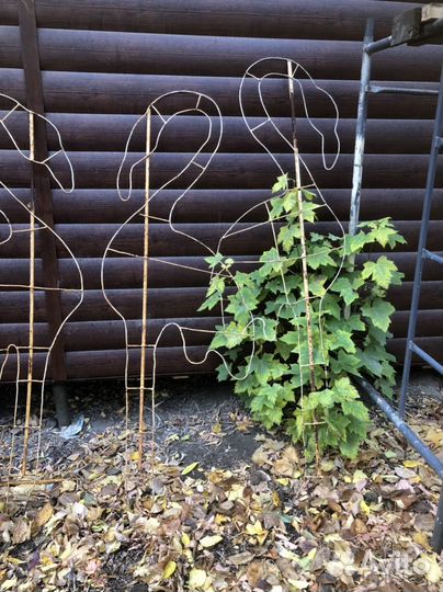 Светящиеся фигуры