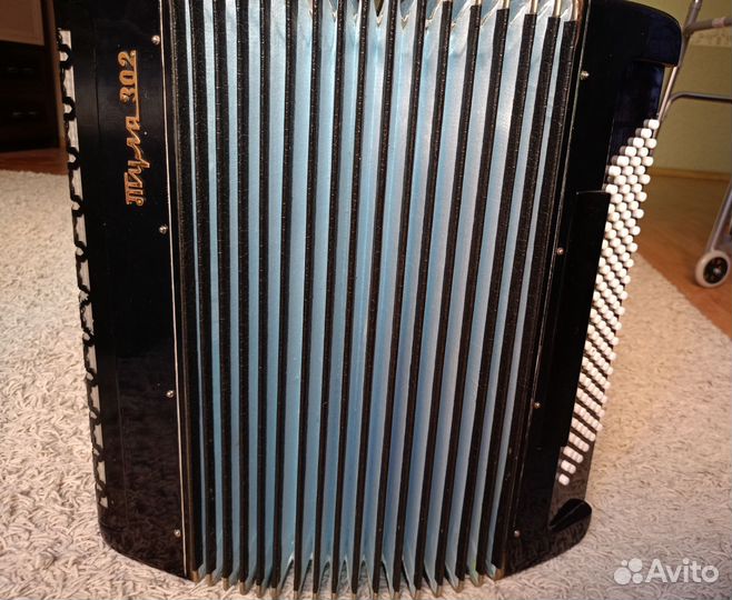 Баян тула 302