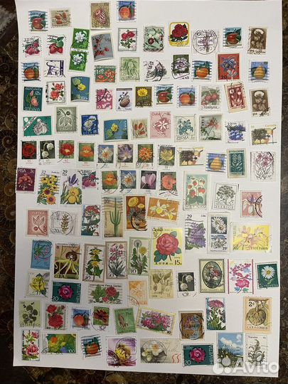 Коллекция марок. Флора. Весь мир.107 штук