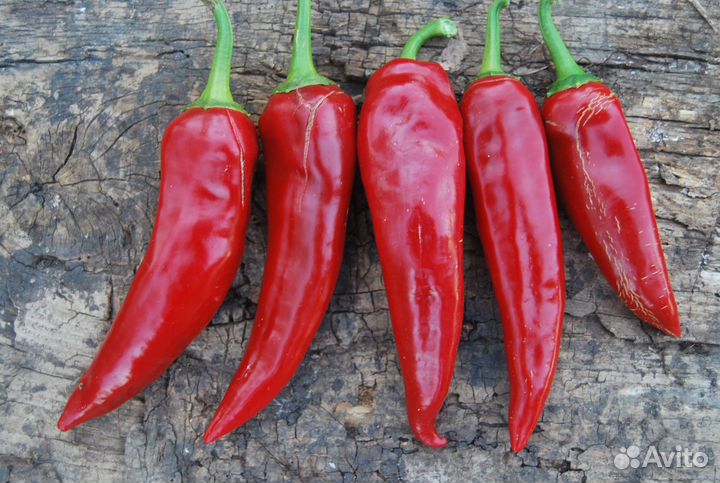 Семена перцев. Собраны 2023 год