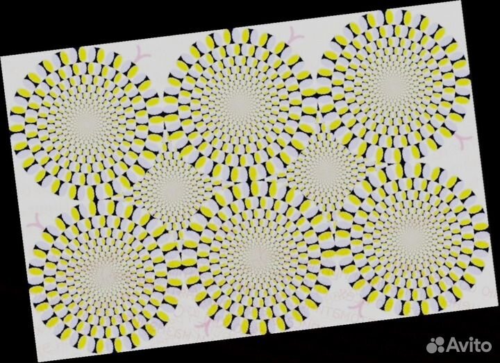 Водитель кат.се выпл.без задержек Вахта 15.20.30.4