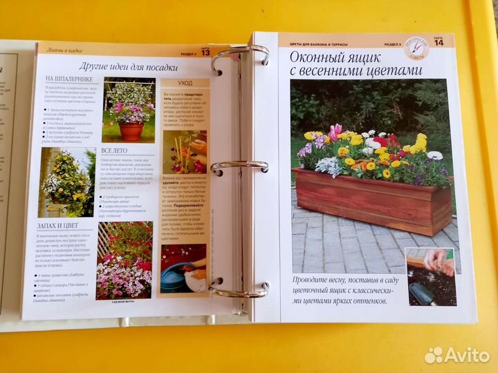 Книги-альбомы по цветоводству