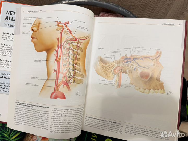 Атлас Неттера по неврологии