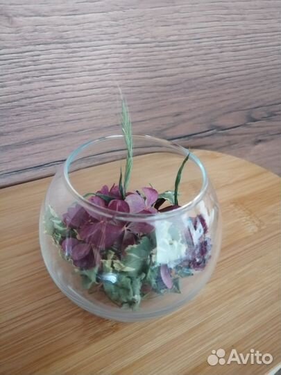 Букет из сухоцветов