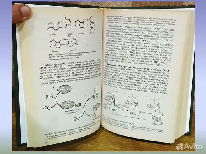 Биология Ярыгин для студентов мед. вузов 2 тома