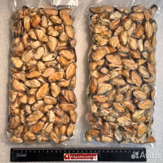 Мясо мидий Чили 100-200