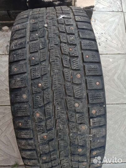 Dunlop SP Winter Response 205/55 R16