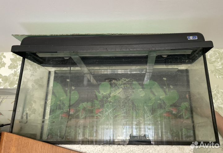 Аквариум