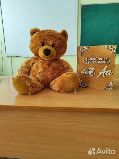 Репетитор по русскому языку и литературе