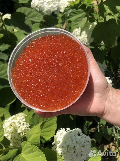 Красная икра в ассортименте