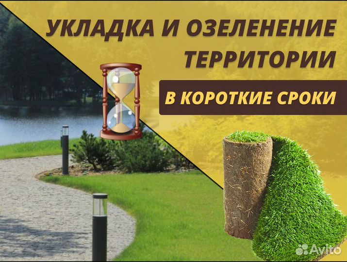 Рулонный газон Элитный