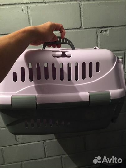 Переноска для кошек/ собак/ животных (аренда)