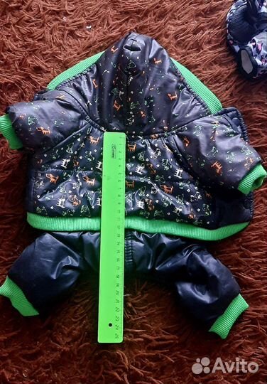 Одежда для маленьких пород