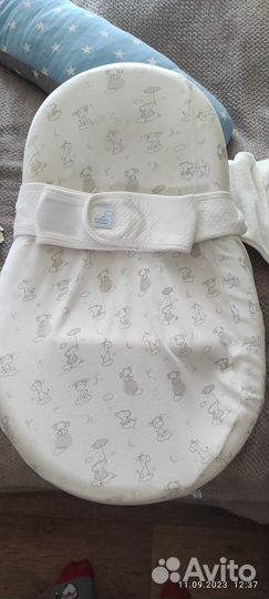 Кокон зевушка