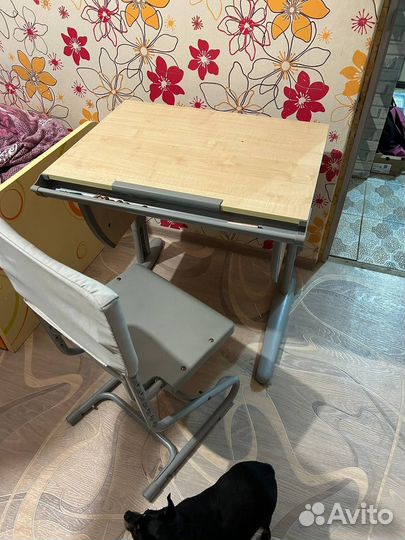 Растущий стол дэми