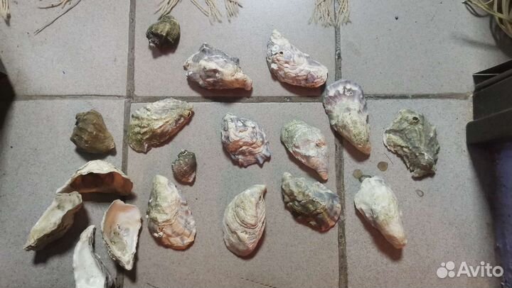 Компрессор для аквариума